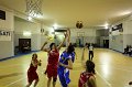 Basket 443055